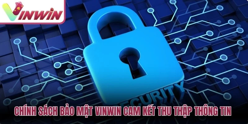 Chính sách bảo mật Vinwin mô tả các nhóm dữ liệu cần thiết khi thành viên sử dụng tài khoản
